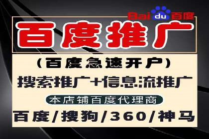 竞价托管服务案例解析